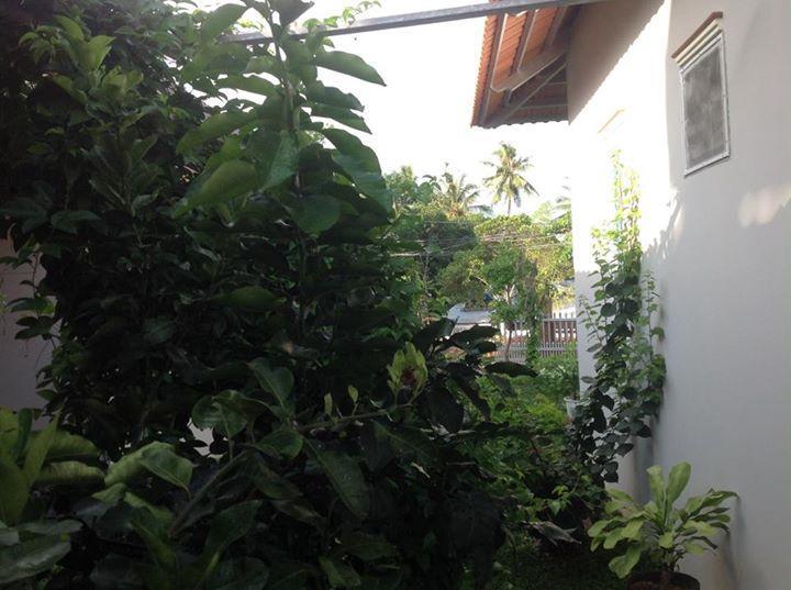 Manh Duyen Garden Homestay Phu Quoc Exteriér fotografie
