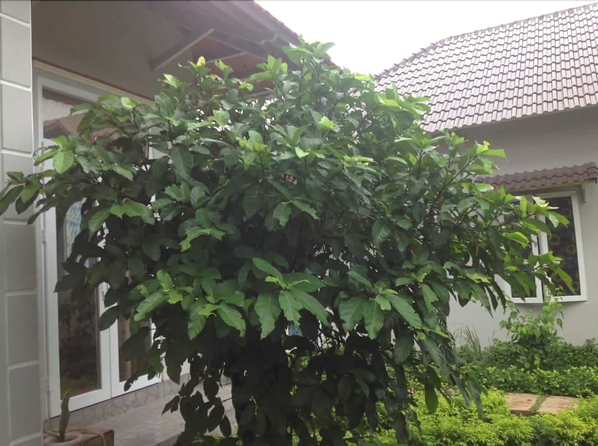 Manh Duyen Garden Homestay Phu Quoc Exteriér fotografie